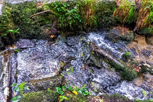 Kennall river in Kennall Vale Nature Reserve, Ponsanooth, Cornwall, United Kingdom