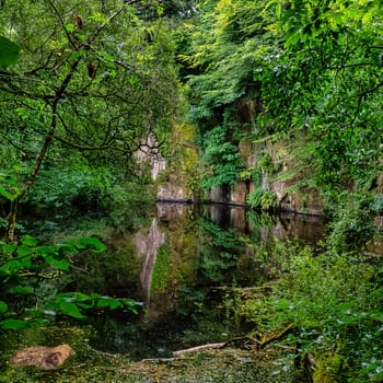 Lake in Kennall Vale Nature Reserve, Ponsanooth, Cornwall, United Kingdom