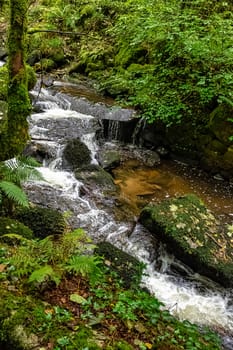 Kennall river in Kennall Vale Nature Reserve, Ponsanooth, Cornwall, United Kingdom