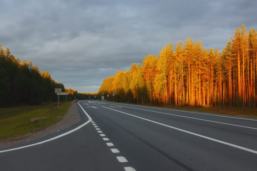 Empty asphalt highway with markings among the forest at sunset. Trees are painted with golden and red sunlight under gray sky. Traveling along the A-119 road in Russia. Space for copy.