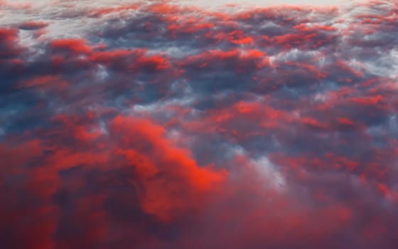 Fiery red fluffy clouds in the evening summer sky are illuminated by the last rays of the setting sun. Colorful dramatic cloudscape after sunset. Abstract background. Northwest Russia.