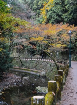 Minoo or Minoh park in autumn, Osaka, Japan. One of Japan's oldest national parks.
