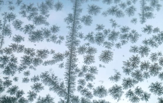 Snowflakes frozen glass windows is photographed close up