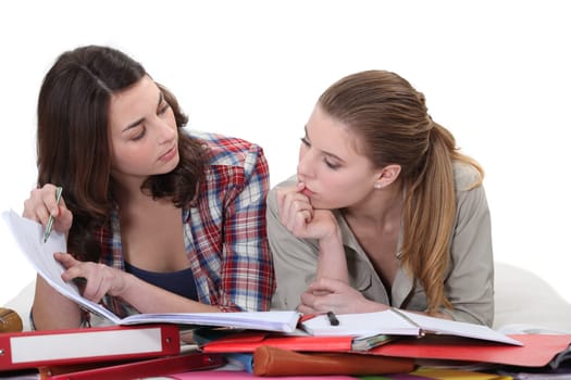 Students studying