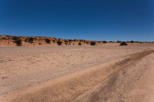 Panorama from Kgalagadi National Park, South Africa