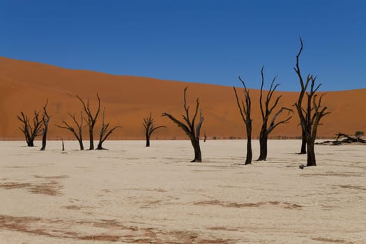 A view from Dead Vlei, Sossusvlei Namibia