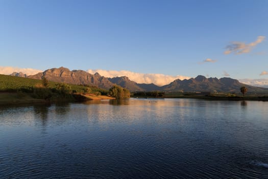 A Stellenboscsh panorama with tipical rows of vines, South Africa