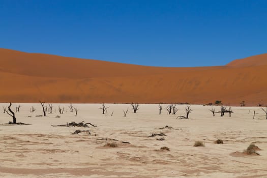 A view from Dead Vlei, Sossusvlei Namibia