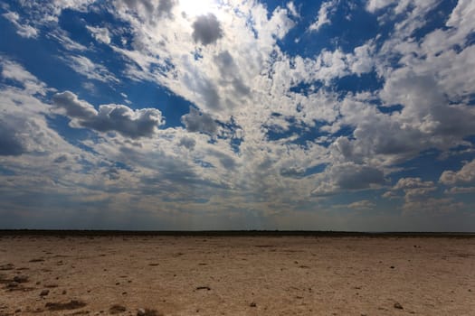 Panorama from Etosha National Park, Namibia