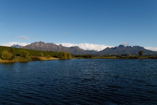 A Stellenboscsh panorama with tipical rows of vines, South Africa