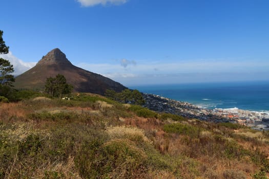 A view of Cape Town with famous Lion's Head