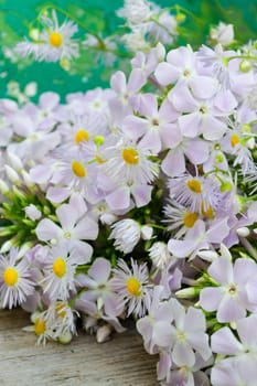 bouquet of dasies on shabby turquoise background. Concept of freedom. close up. Vertical image