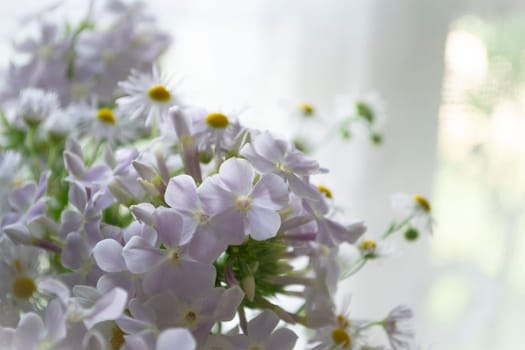 Soft home decor, bouquet with white small flowers close up on a white vintage background and old wooden window