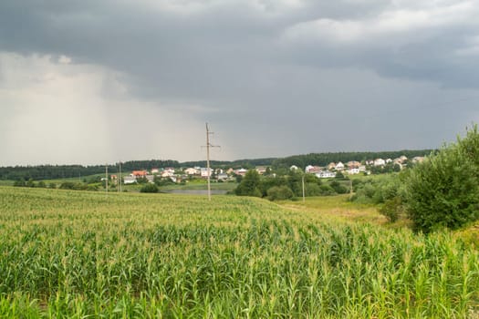 Picturesque panoramic scenery of the green meadow and village in Belarus. Forest in the background. Idyllic rural scene.
