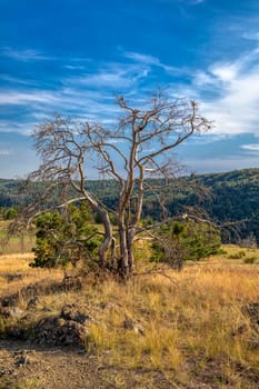 Landscape of National Nature Reserve Mohelen Snake Steppe, Educational trail, Trebic, Vysocina Czech Republic