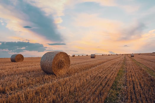sunset over Straw bales stacked in a field at summer time, Vysocina Czech Republic