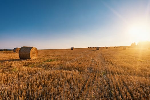 sunset over Straw bales stacked in a field at summer time, Vysocina Czech Republic