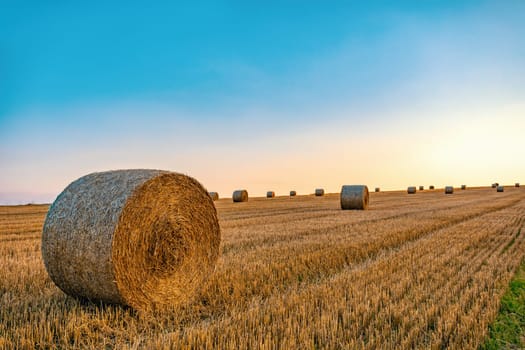 sunset over Straw bales stacked in a field at summer time, Vysocina Czech Republic