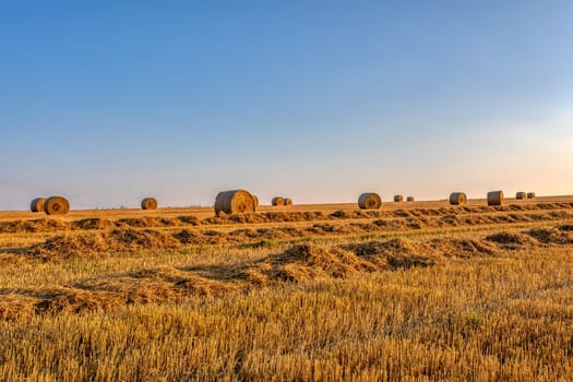 sunset over Straw bales stacked in a field at summer time, Vysocina Czech Republic