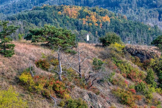Landscape of National Nature Reserve Mohelen Snake Steppe, Educational trail, Trebic, Vysocina Czech Republic
