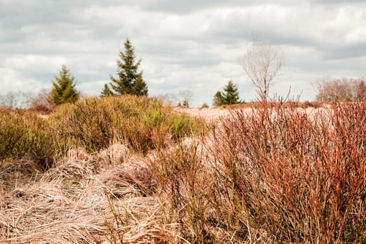 The High Fens, Hoge Venen, Belgium, Signal Van Botrange