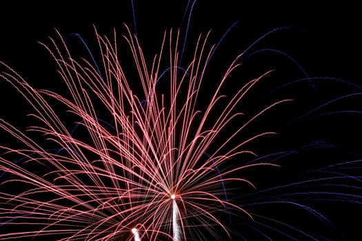 Firework explosion in a dark night