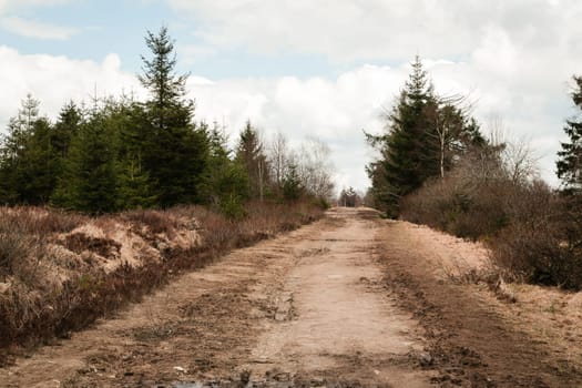 The High Fens, Hoge Venen, Belgium, Signal Van Botrange