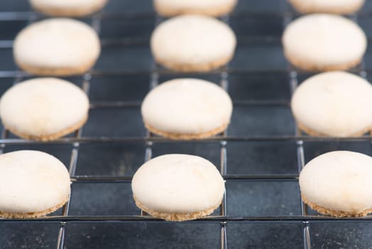 Anise biscuits, german traditional christmas sweets