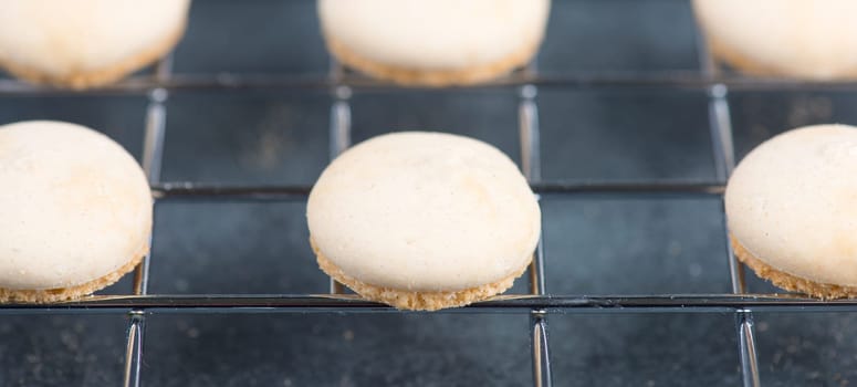 Anise biscuits, german traditional christmas sweets