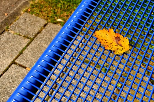 autumnal colored leaf on a blue grid of a seat