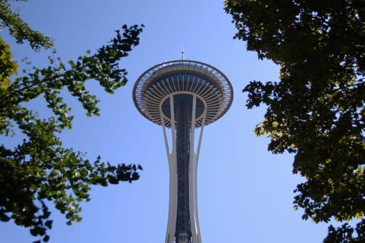 The spectacular Space Needle below the trees in Seattle