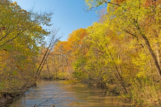 Autumn Colors Along the Cache River in Illinois