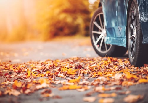 Blue car on the road in the natural park. Beautiful view of the autumnal way with colorful leaves on it.