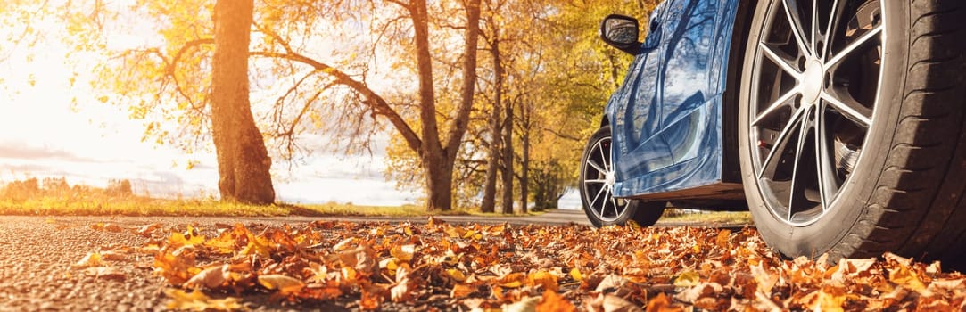 Blue car on the road in the natural park. Panoramic view of the autumnal way with tree's trunk on the side of it.