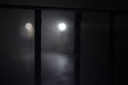 Water droplets from the heavy fog condense on the spooky cobweb that hangs between metal railings. Lit by distant street lights at night, dark image