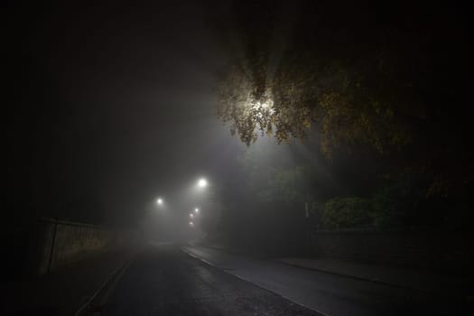 Rays of light from street lamps shine through heavy fog and branches. Deserted and empty main road, glossop road, sheffield, curves into the distance