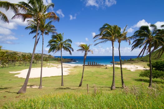 Moai at Anakena beach, Easter island, Chile