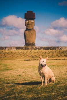 Moai at Ahu Tongariki, Easter island, Chile