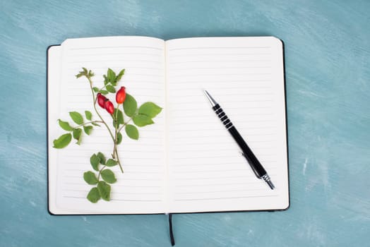 Empty booklet with a twig of a hip rose, blue colored background