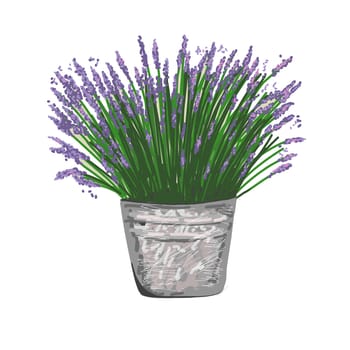 LAVENDER IN A BUCKET. STYLE PROVENCE. Vector illustration in Provence style.
