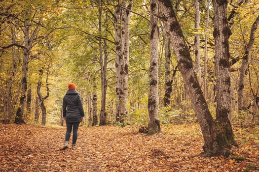 Woman walking alone in the autumnal park. Young girl relaxing in the colorful forest.
