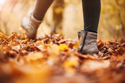 Woman walking alone in the autumnal park. Closeup view of the legs.