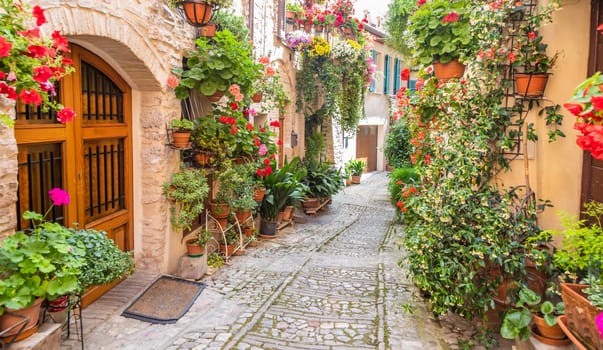 Spello, Italy - Circa June 2021: flowers in ancient street. Spello is located in Umbria region, Italy.