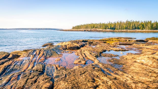 Rocky coastline in Acadia National Park in Maine