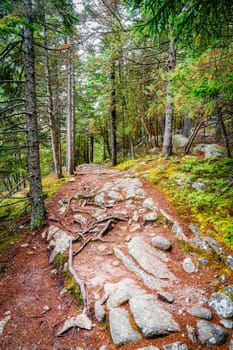 Hiking trail along the Long Pond in Acadia National Park in Maine