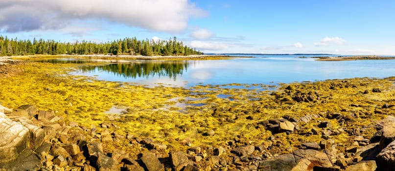 Panoramic view of Acadia National Park coastline in Maine at low tide