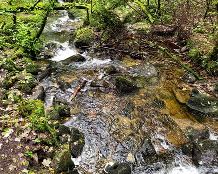 Kennall river in Kennall Vale Nature Reserve, Ponsanooth, Cornwall, United Kingdom
