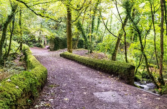 Bridge over Kennall river in Kennall Vale Nature Reserve, Ponsanooth, Cornwall, United Kingdom