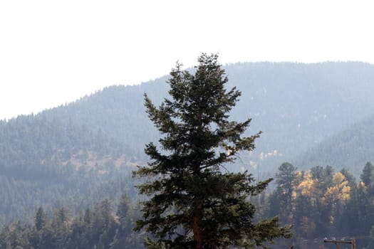 Idaho Springs, CO, USA - October 7, 2020: Smoky Colorado mountains with evergreen trees caused by forest fires in the western USA. Very smoke filled view of evergreen tree covered mountains during the day.