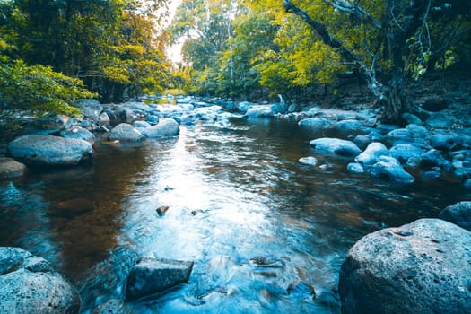 Jungle landscape with amazing stream at deep tropical rain forest. travel landscape and destinations Thailand South east asia